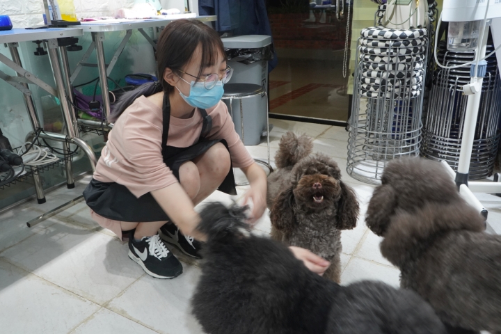 芷恩透過「童望Teen 空」計劃得到於寵物美容店實習的機會。