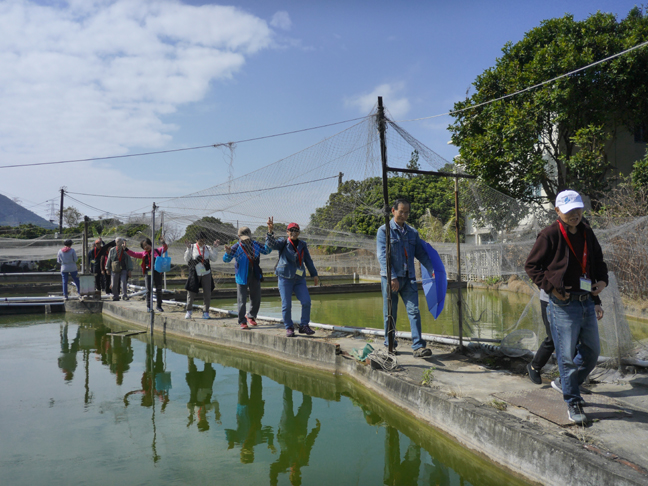 Ngau Tam Mei is one of the few remaining ‘farming and fishing villages’ in Hong Kong, where one may tour around the fields and fish ponds.